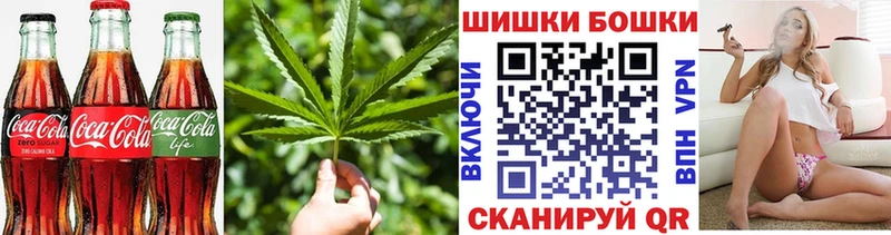 Cannafood конопля  Купить  Новосокольники 
