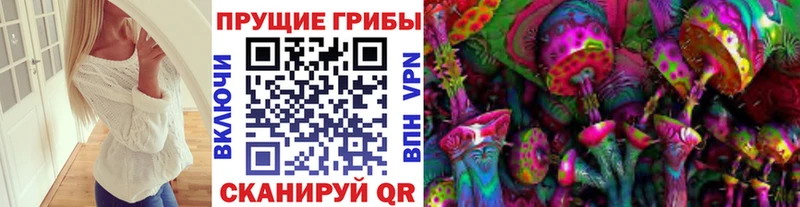 Галлюциногенные грибы Magic Shrooms  Купить  Новосокольники 